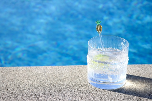 Swim-Up-Bars--in-Palo-Verde-Arizona-Swim-Up-Bars-238200-image